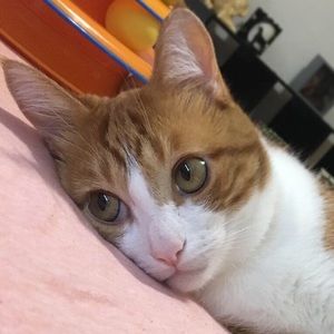 Meet your Posher, Brenda